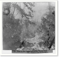 Historic Framed Print, View in the Canyon below the Vernal Fall - Yosemite Valley, Mariposa County,  17-7/8" x 21-7/8"