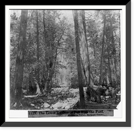 Historic Framed Print, The Lower Yosemite Fall from the Ford - Yosemite Valley, Mariposa County,  17-7/8" x 21-7/8"