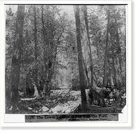 Historic Framed Print, The Lower Yosemite Fall from the Ford - Yosemite Valley, Mariposa County,  17-7/8" x 21-7/8"