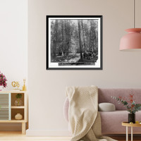 Historic Framed Print, The Lower Yosemite Fall from the Ford - Yosemite Valley, Mariposa County,  17-7/8" x 21-7/8"