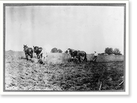 Plowing for wheat. Children are kept out of school for this work. Location: Hardin County. Long Grove vicinity, Kentucky..Lewis W. Hine, Vintage Wall Art