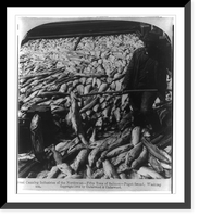 Historic Framed Print, Great canning industries of the Northwest - fifty tons of salmon - Puget Sound, Washington,  17-7/8" x 21-7/8"