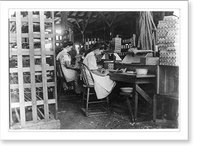 Girls working in Tampa, Fla., Box Factory. I saw 10 small boys and girls. Has had reputation for employment of youngsters but work is slack now. Jan. 28, 1909. Location: Tampa, Florida. Heritage Wa
