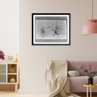 Study of peacock on wall facing Princesse du Pays de la Porcelaine over mantlepiece." The Rich Peacock and the Poor Peacock", Antique Wall Art