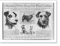 What is to become of White House pets when Coolidges, Historic Print
