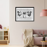 What is to become of White House pets when Coolidges, Historic Print