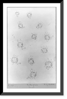 Vintage Photo Print - Butterflies - Historic Wall Art Gift