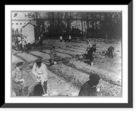 The Romanovs working in the garden at Tsarskoe Selo, Russia, 1917, Antique Print