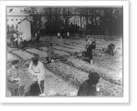 The Romanovs working in the garden at Tsarskoe Selo, Russia, 1917, Antique Print