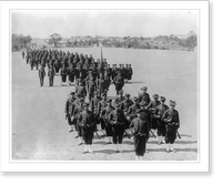 The First Battalion of the First Regiment of Zouaves of the Imperial Guard.Abdullah Fr&egrave;res, Phot., Constantinople, Historic Reproduction