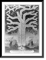 Vintage Photo Print - New York City - Chronological tree of Irish