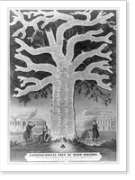 Vintage Photo Print - New York City - Chronological tree of Irish