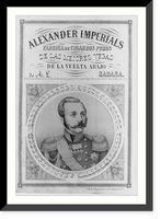 Historic Framed Print, Alexander Imperials,  17-7/8" x 21-7/8"