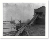 African American guiding log from water onto saw mill ramp, Newport News, Va., 1900, Antique Poster
