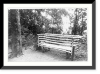 Yasnaya Polyana, Russia. 1960: Tolstoi's bench in little fir trees"", Antique Print