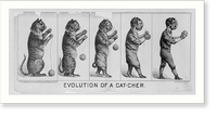 Evolution of a cat-cher.lith. H.S. Crocker & Co., S.F. Classic, Historic Reproduction
