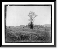 Castle Hill Hotel - far view, Lexington, Va, Historic Print