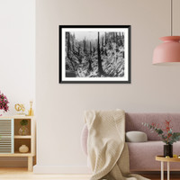 Historic Framed Print, [Oxen hauling log trains on skid roads, Western U.S.; far view on valley floor; hillsides dotted with stumps and topped trees],  17-7/8" x 21-7/8"