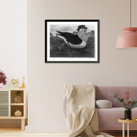 Franklin D. Roosevelt (Unitus Andguidus).by Justin Murray, Vintage Wall Art