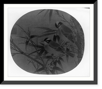 Historic Framed Print, Chinese bulbuls (birds),  17-7/8" x 21-7/8"