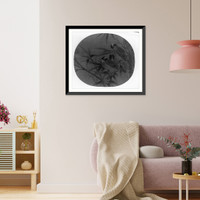 Historic Framed Print, Chinese bulbuls (birds),  17-7/8" x 21-7/8"