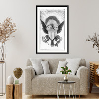 Historic Framed Print, [Arms of the United States].Jas. Trenchard sculp.,  17-7/8" x 21-7/8"