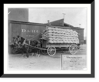 Horse-drawn wagon loaded with 175 sacks of wheat beside freight car, Historic Reproduction