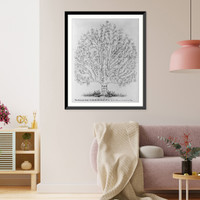 The common law in the similitude of a tree, Antique Print