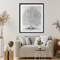 The common law in the similitude of a tree, Antique Print