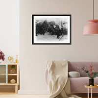 African Americans selling Christmas trees and holly, Washington, D.C, Historic Print