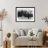 African Americans selling Christmas trees and holly, Washington, D.C, Historic Print