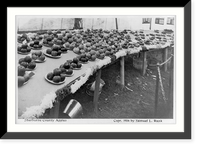 Prize winners at Sherburne County fair, Minnesota - exhibit of apples, Historic Reproduction