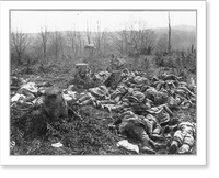 Historic Framed Print, [Large groups of dead (French?) soldiers lying in field],  17-7/8" x 21-7/8"