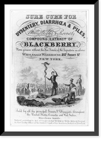 Wells, Miller, and Provost's Compound Extract of Blackberry, Historic Print