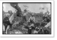 Theodore Roosevelt, 1858-1919; lantern slide of Roosevelt's Brazil expedition, 1913, taken by his son Kermit - 16, Vintage Poster