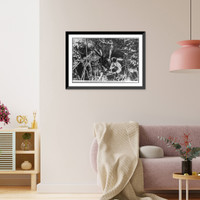 N.C. - 2 moonshiners working at still in mountains, Historic Reproduction