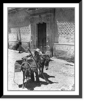 Mexico - Taxco, Guerrero district - 2 donkeys loaded with tiles in front of Casa de Humboldt Classic, Antique Print