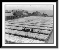 Historic Framed Print, [Fish drying on open-air tables, Gloucester, Mass.],  17-7/8" x 21-7/8"