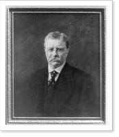 Historic Framed Print, [Theodore Roosevelt, head and shoulders portrait, facing slightly left],  17-7/8" x 21-7/8"