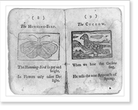 Cock Robin's Death and Funeral (Boston, 1780): copy negatives of all ten pages: pp. 8 & 9, Vintage Wall Art