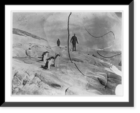 2 men and 4 penguins on Antarctic landscape; Belgian Expedition, 1897-1899 Classic, Antique Poster