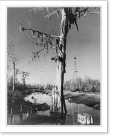 Choctaw oil field, La., Jan. 1944. Swamp cypress and oil wells Classic, Antique Poster