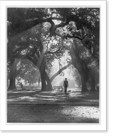 Picturesque campus scene - Santa Rosa Junior College, Santa Rosa, Calif. Classic, Antique Wall Art