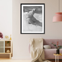 A polar bear seated on snow and another polar bear walking in background.Carl Ederer, Vintage Wall Art