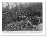 Pack train, Dyea Canyon, Historic Reproduction