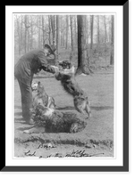 Historic Framed Print, [Albert Payson Terhune, 1872-1942, full-length portrait, smoking cigar, with 3 collies],  17-7/8" x 21-7/8"
