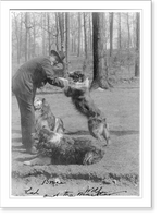 Historic Framed Print, [Albert Payson Terhune, 1872-1942, full-length portrait, smoking cigar, with 3 collies],  17-7/8" x 21-7/8"