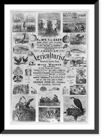 Historic Framed Print, American agriculturist. Good things for everybody,  17-7/8" x 21-7/8"