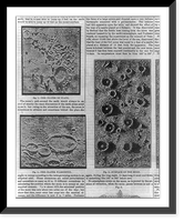 3 Figures of the Moon: The Crater of Plato, The Crater Wargentin, The Surface of the Moon, Historic Print