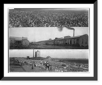 Historic Framed Print, [3 views: (1) cotton field (2) cotton gin (3) men, women, and many bales of cotton in front of cotton gin],  17-7/8" x 21-7/8"
